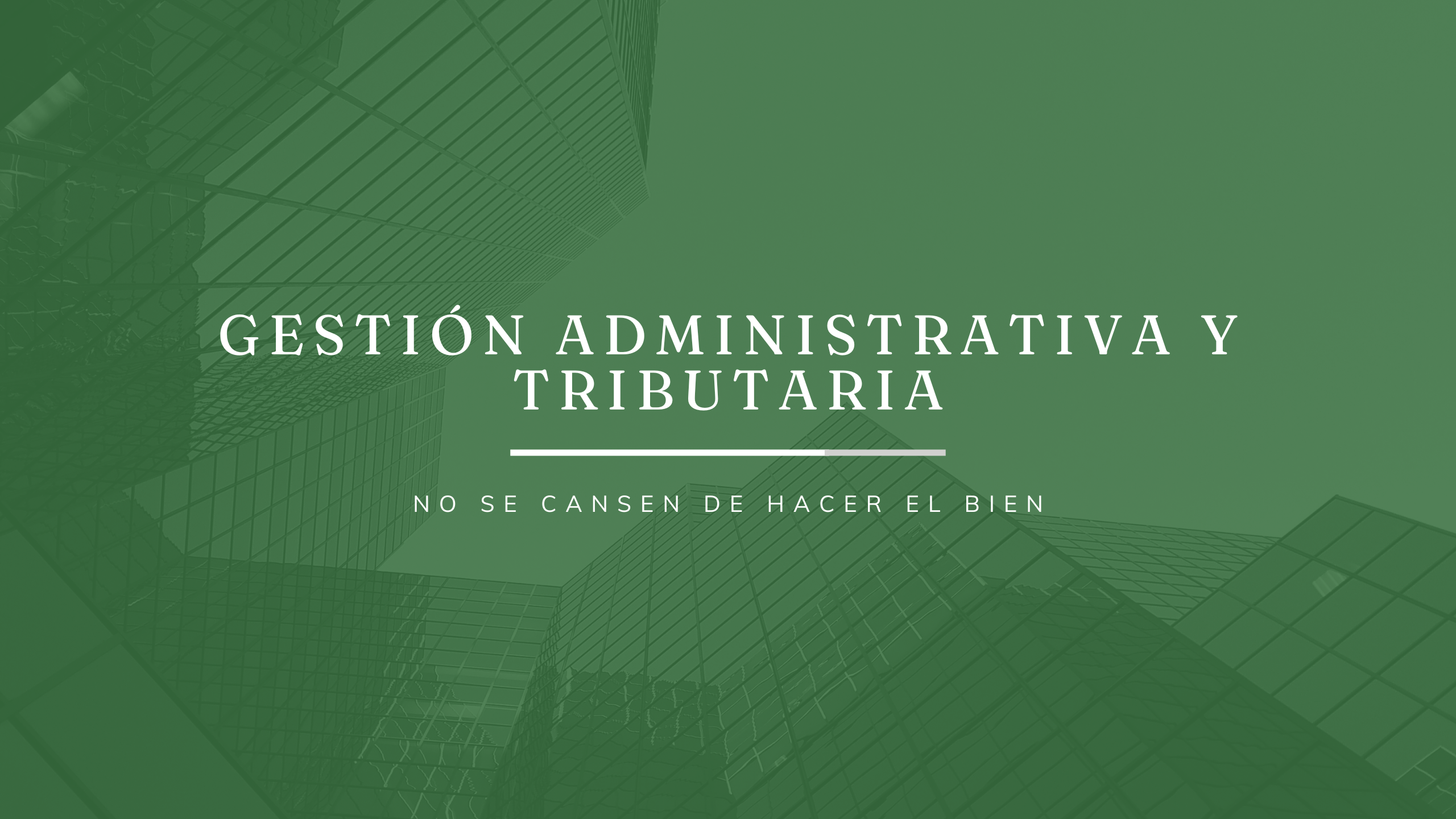 Domina la contabilidad y lidera en el ámbito administrativo.